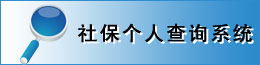 社保個(gè)人查詢(xún)系統(tǒng)